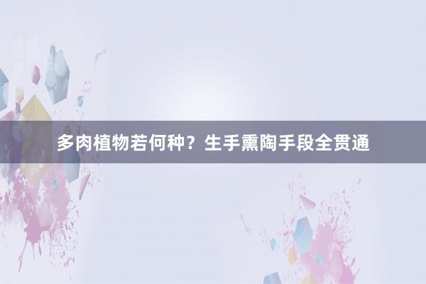 多肉植物若何种？生手熏陶手段全贯通